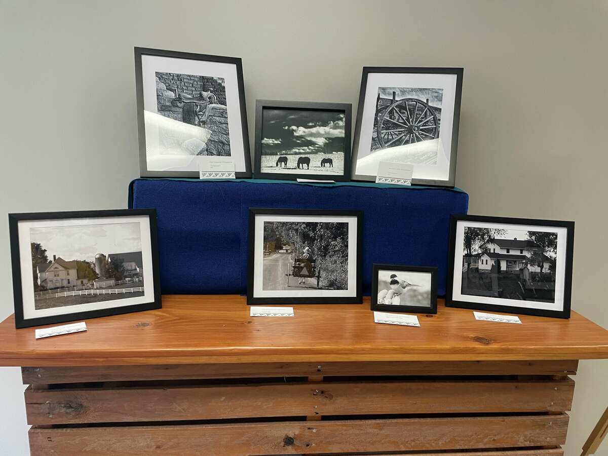 The Big Rapids Camera Club's exhibit at Artworks, currently in the Alley Gallery, showcases black and white photography.