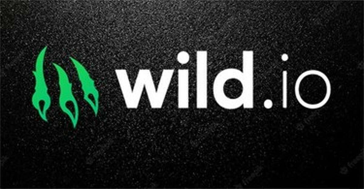 Wild.io