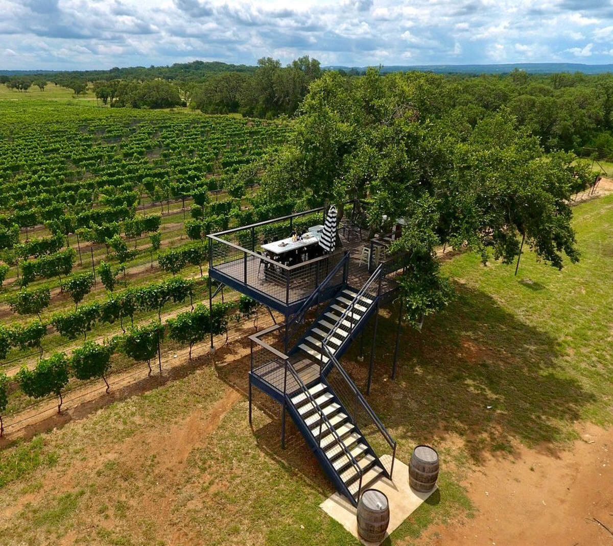 Top Texas Hill Country wineries to visit