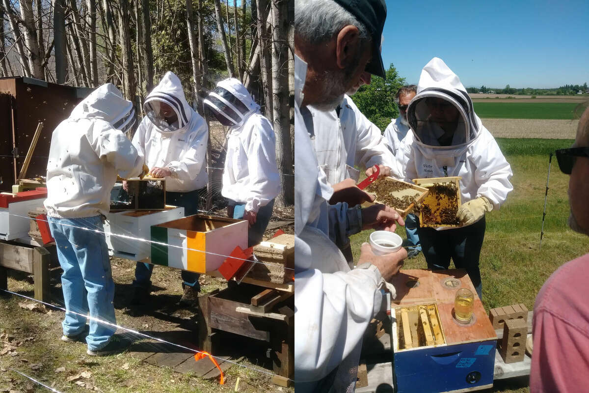 The Scottville Beekeepers of Mason County group is hosting its first meeting of 2023 from 6:30-8:30 p.m. on Thursday