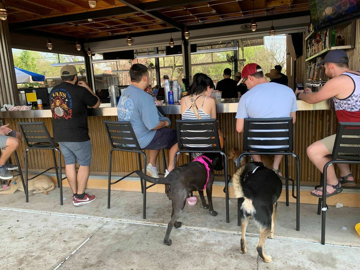 Dog park, bar Texas Dog Co. opens on San Antonio's Northside