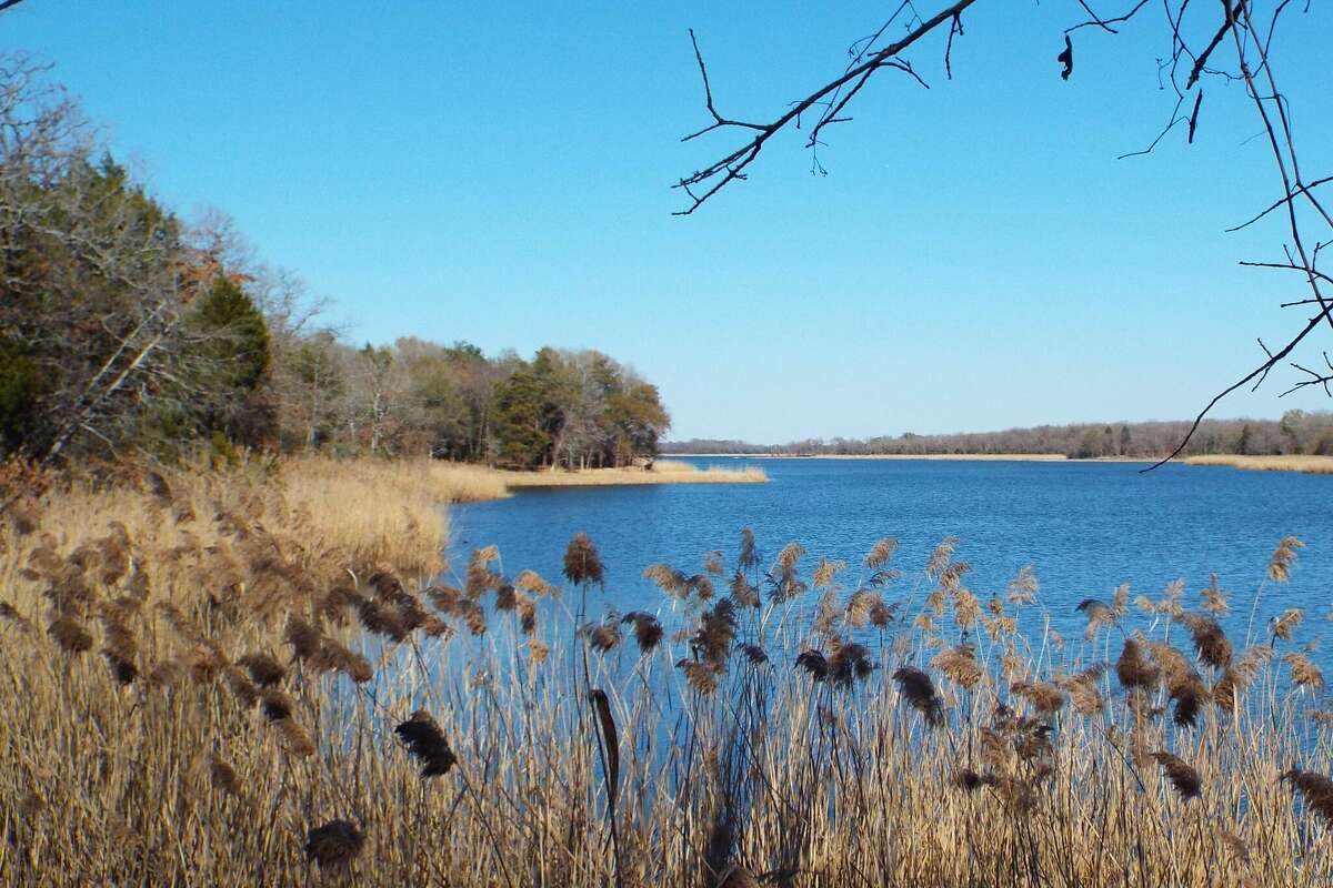 Fairfield Lake State Park will temporarily reopen to the public on Tuesday. 