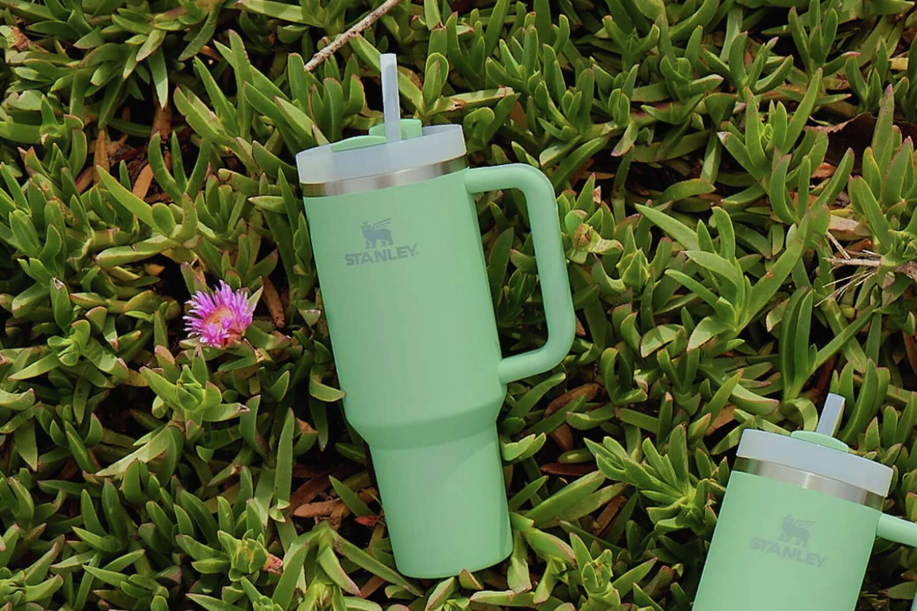 The Stanley Adventure Quencher Restock Includes New Summer Colors