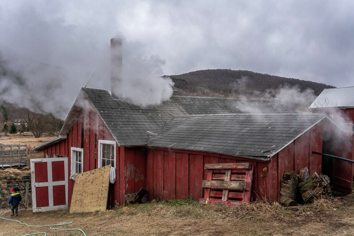 Smallscale maple sugarmakers are dealing with climate change