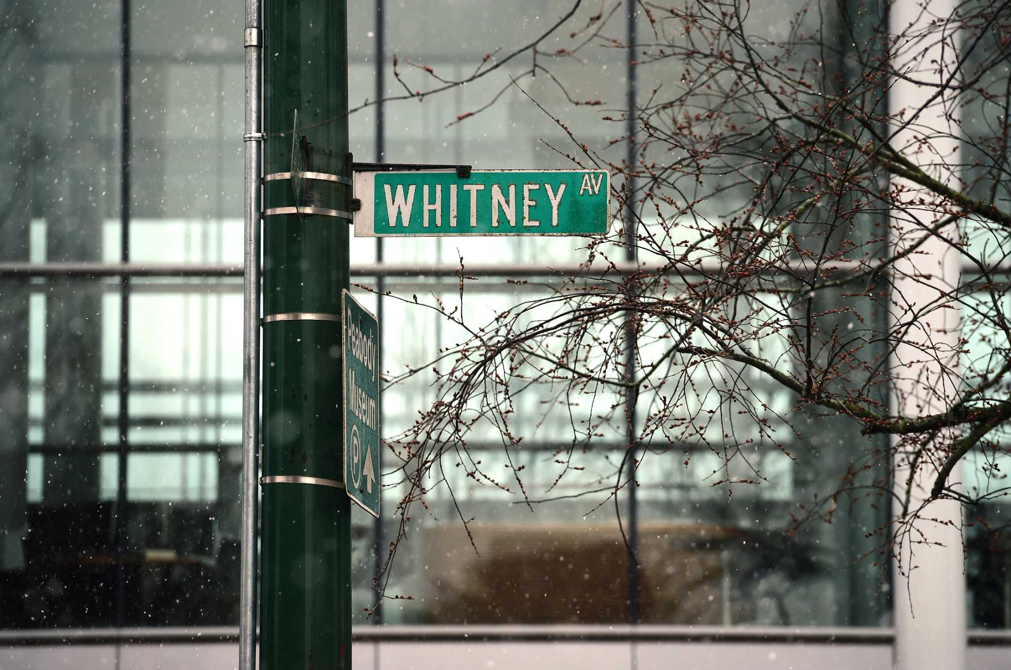 Yale MBA student proposes renaming of Whitney Avenue in New Haven