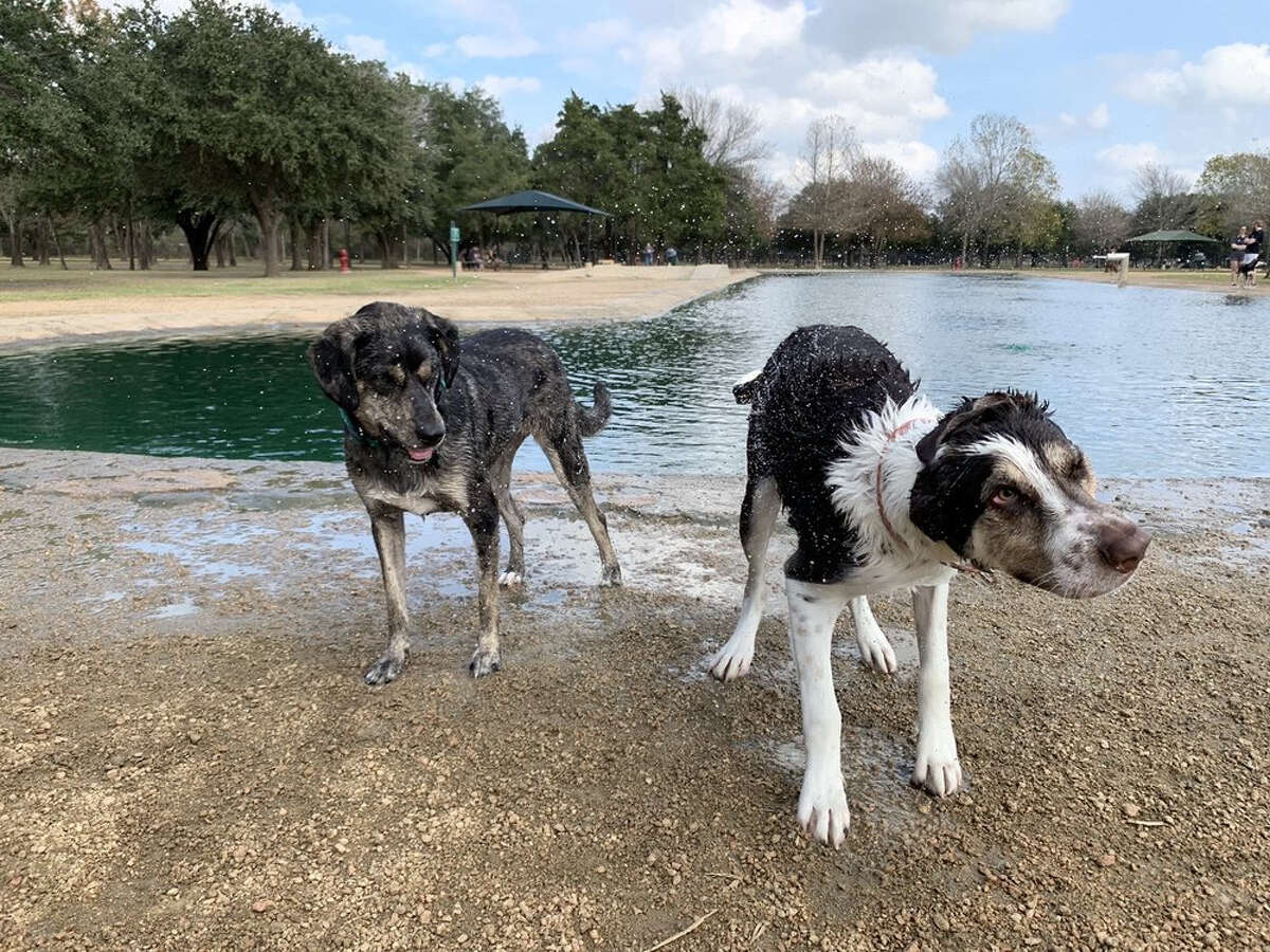 The 5 best off-leash dog parks in Houston
