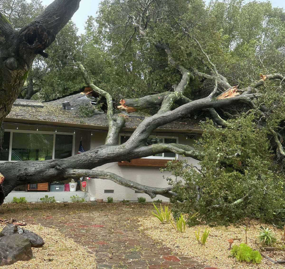 A large tree fell on a house in east Novato, amid high winds, on Tuesday, March 14, 2023. The Marin County Sheriff's department reported that there were no injuries at the scene.