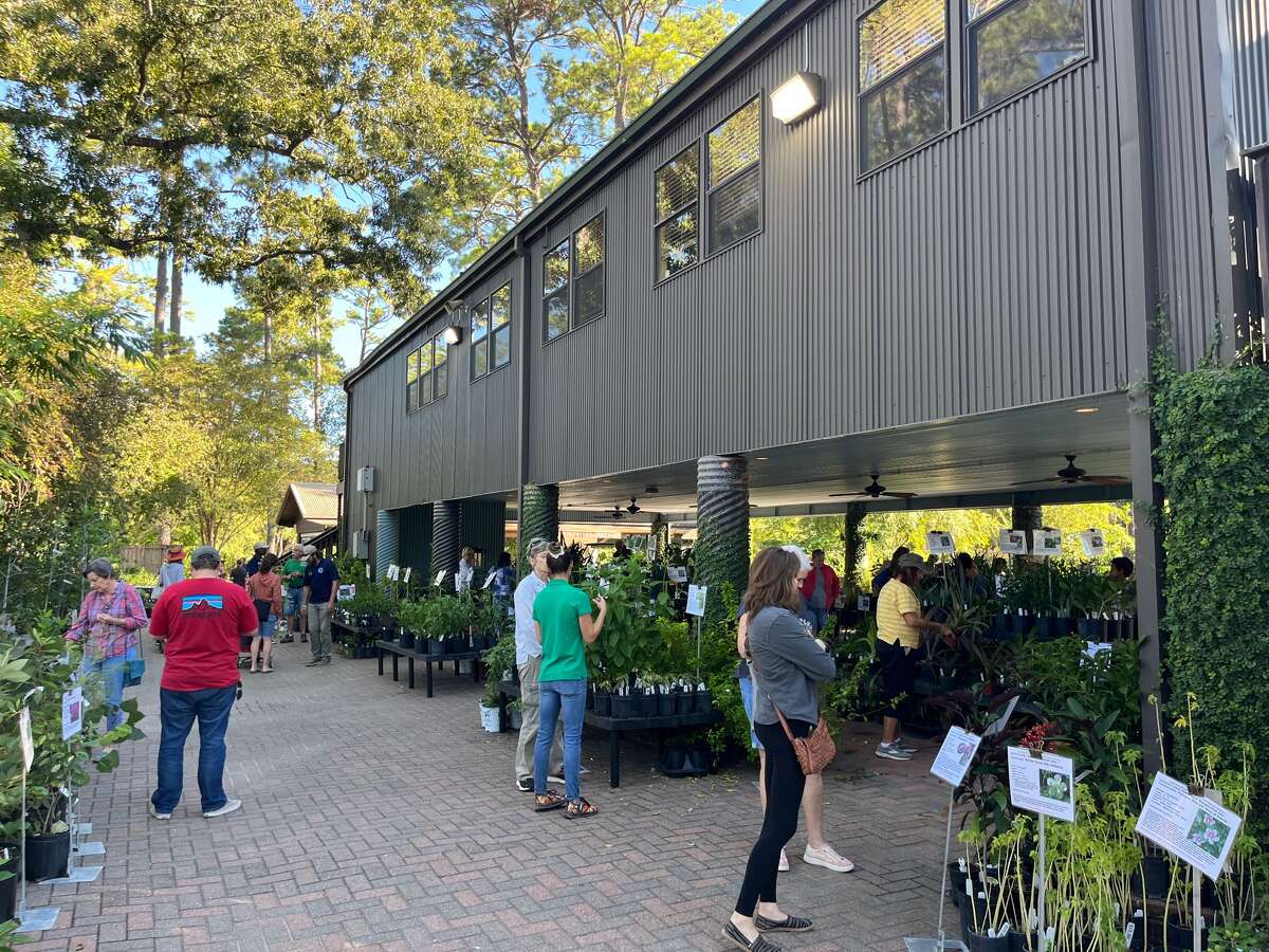 Mercer Botanic Garden hosts a plant sale.