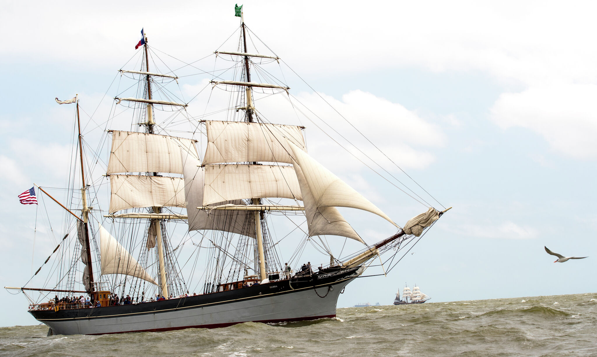 Tall Ships Galveston Festival Parking, hours, cost and more