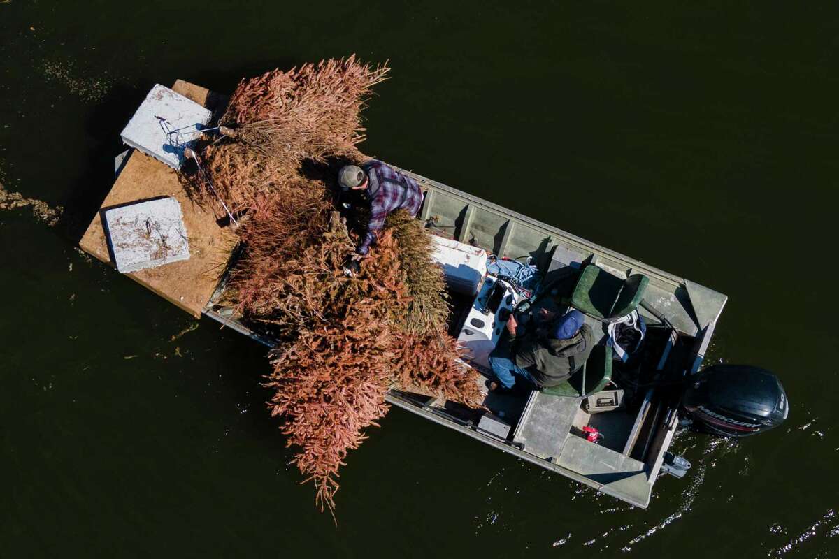 Shane Simpson and Michael Biehle, with the San Jacinto River Authority’s Lake Conroe Division, float donated Christmas trees to be sunk into Lake Conroe in an effort to improve its ecosystem, on Wednesday, March 15, 2023, in Conroe.