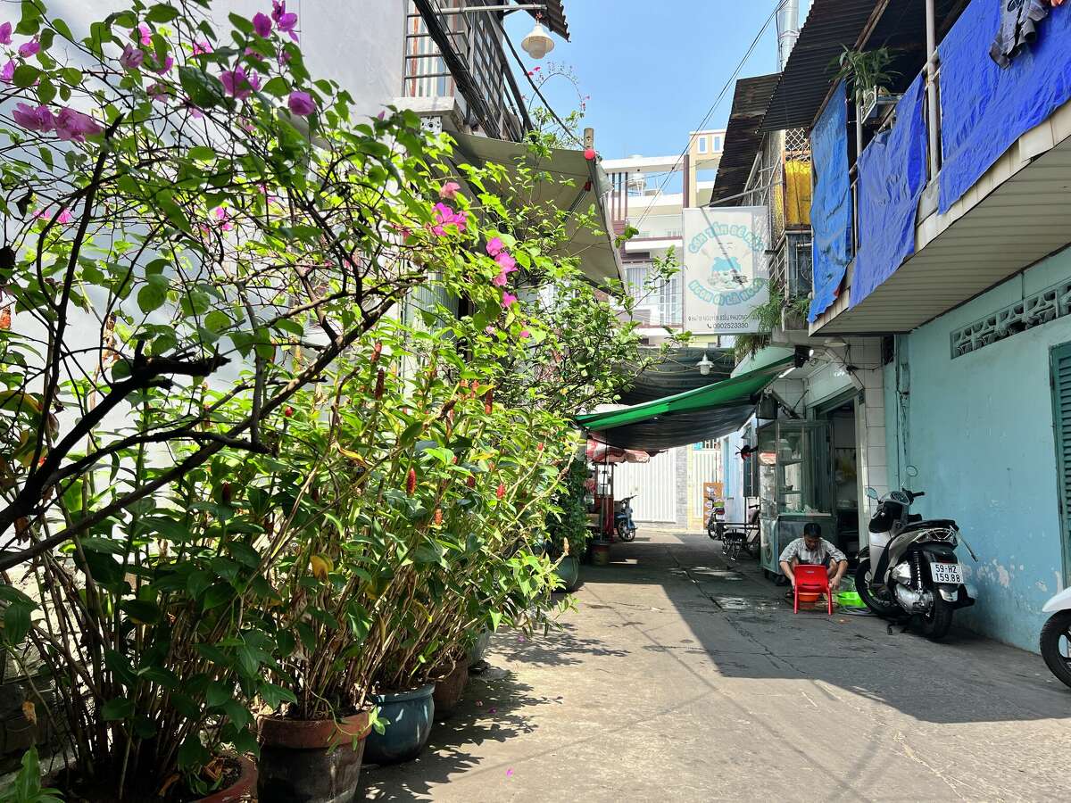 Potted plants line an alleyway in Ho Chi Minh City.