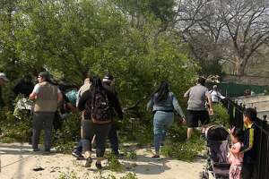 Child in critical condition after tree limb falls at S.A. Zoo