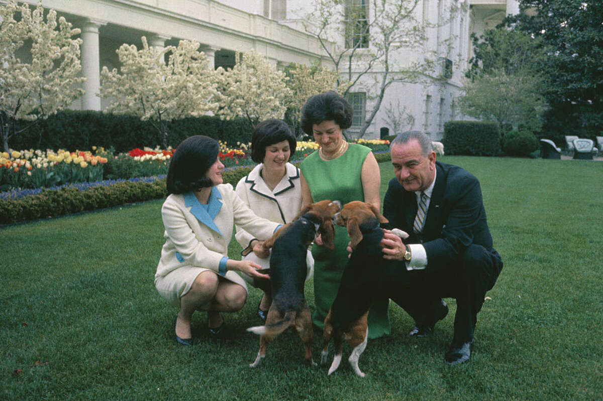 President Lyndon B. Johnson, Mrs. Johnson, And Their Two Daughters Pose For Photographers In The Flower Garden While Playing With Their Beagle Puppies.