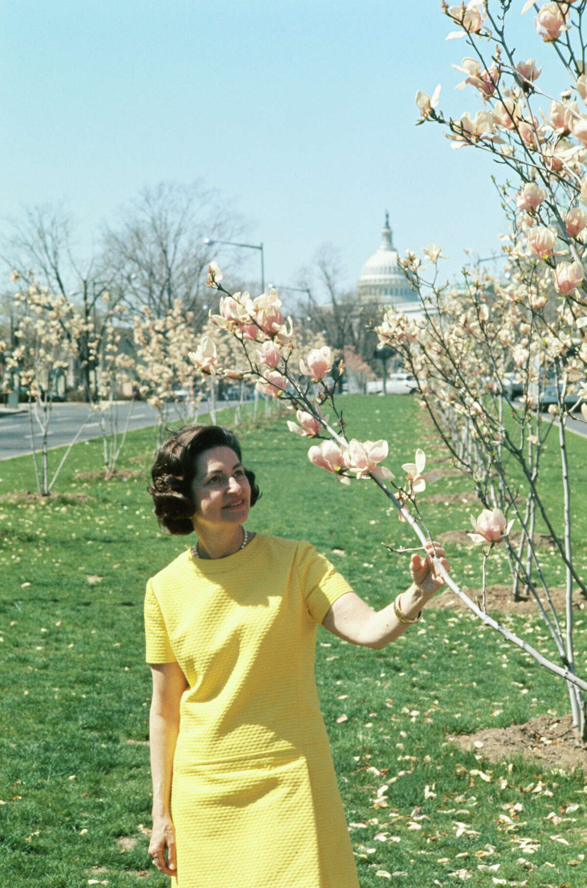 Mrs. Lyndon B. Johnson Tours The Blossoming Capitol Here. She Was Accompanied By Nash Castro, The Regional Director Of The National Park Service.