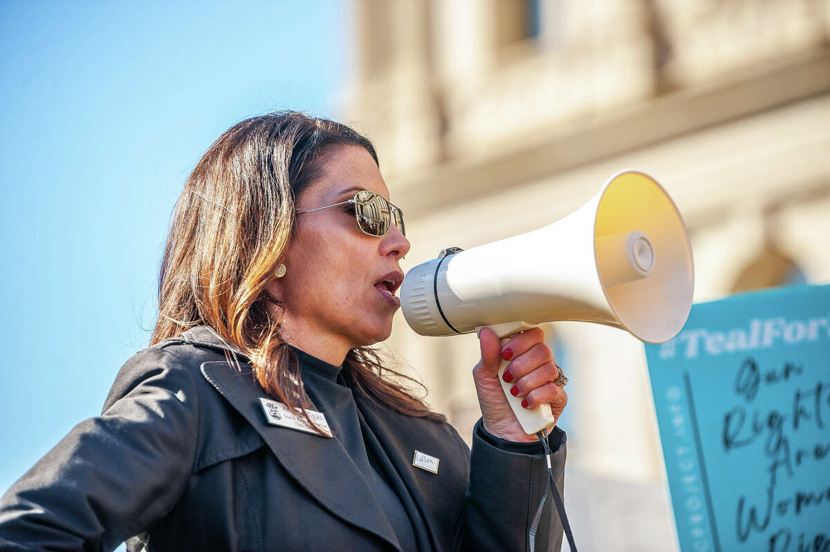 PHOTOS: Hundreds gather at Michigan Capitol for gun control rally