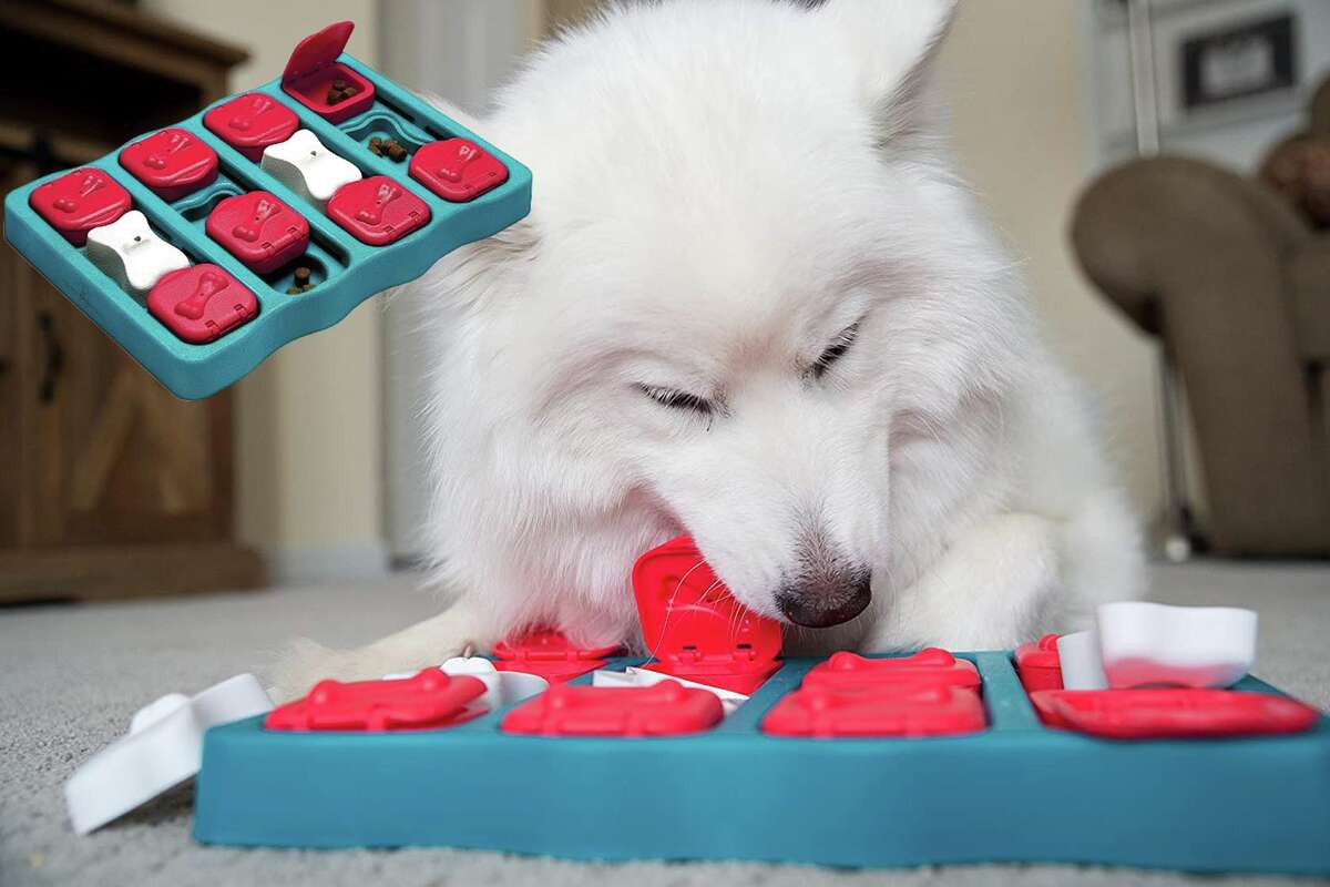 This clever dog puzzle toy is 61 percent off on Amazon.