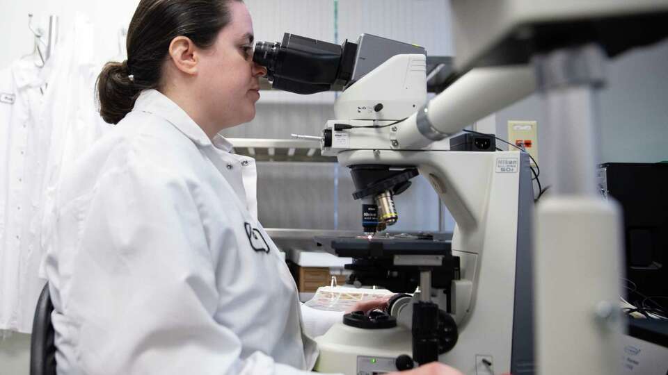 Houston Health Department Microbiologist Christina Utz demonstrates counting pollen and mold from the collection of spore sample Wednesday, March 15, 2023, at Houston Health Department lab in Houston. Houston Health Department microbiologists set up the spore trap, retrieval of canister capturing the spores and then counting them five days a wekk.