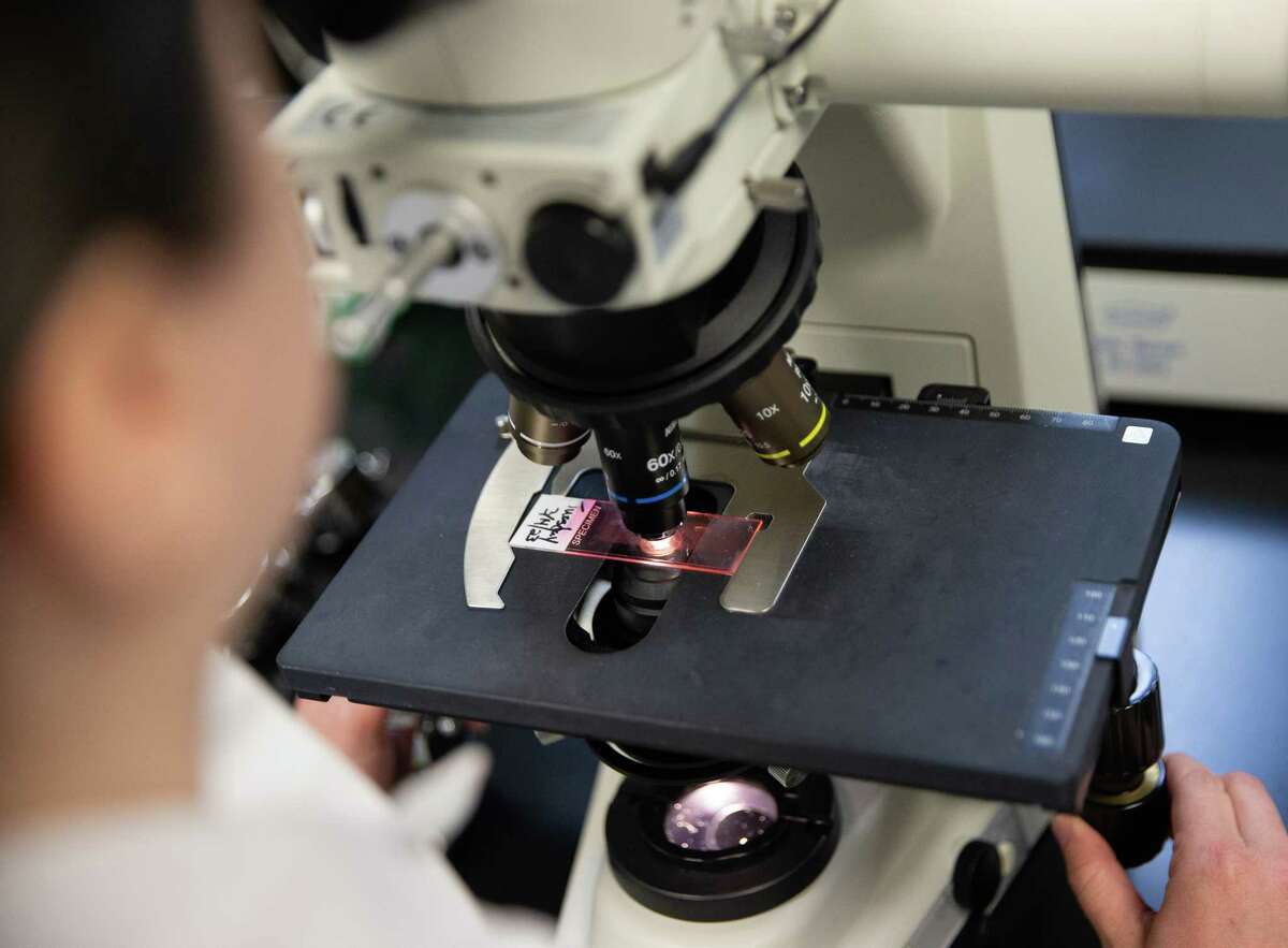 See how Houston counts pollen and mold spores for allergy season