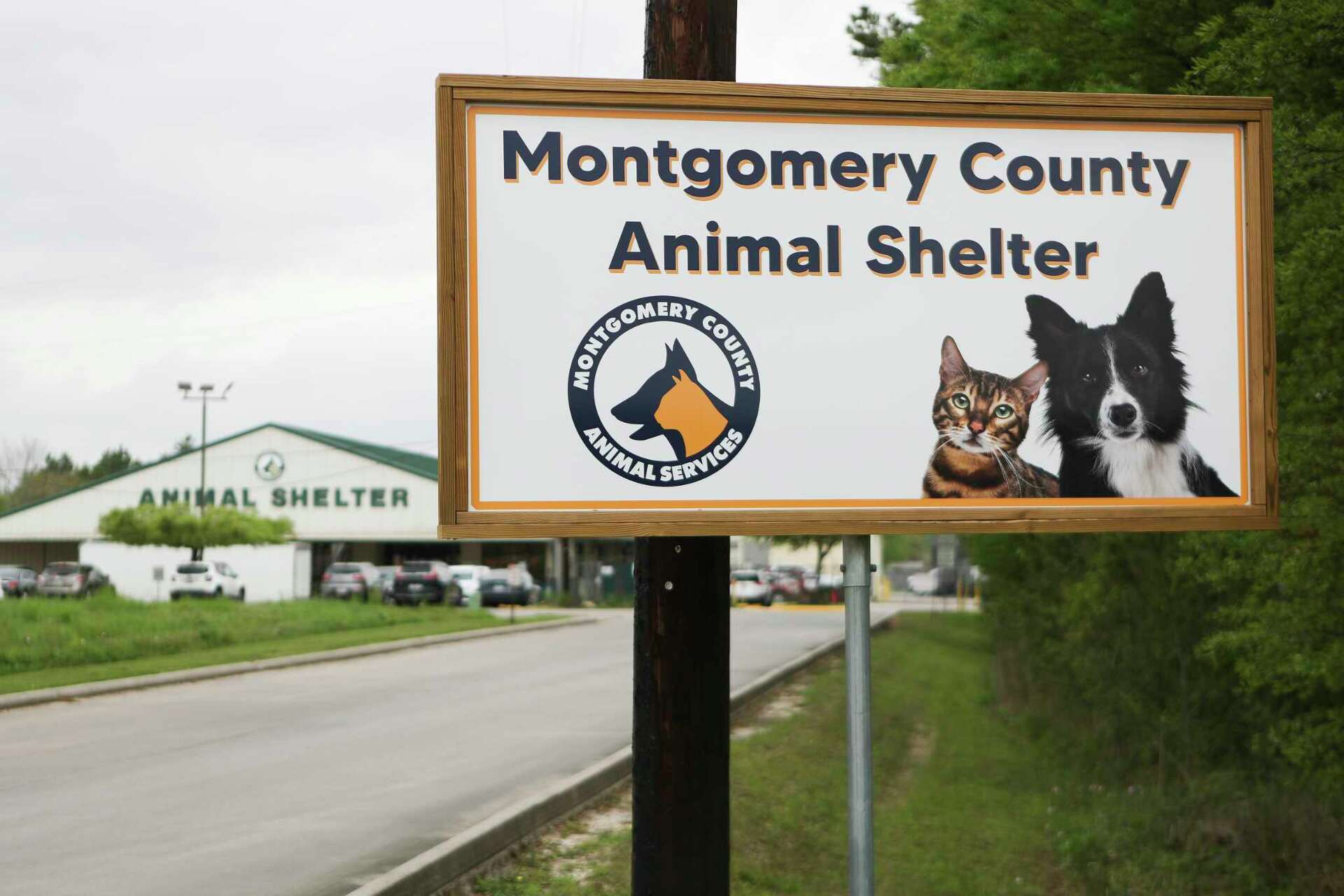Clearance montgomery county shelter dogs New Arrivals