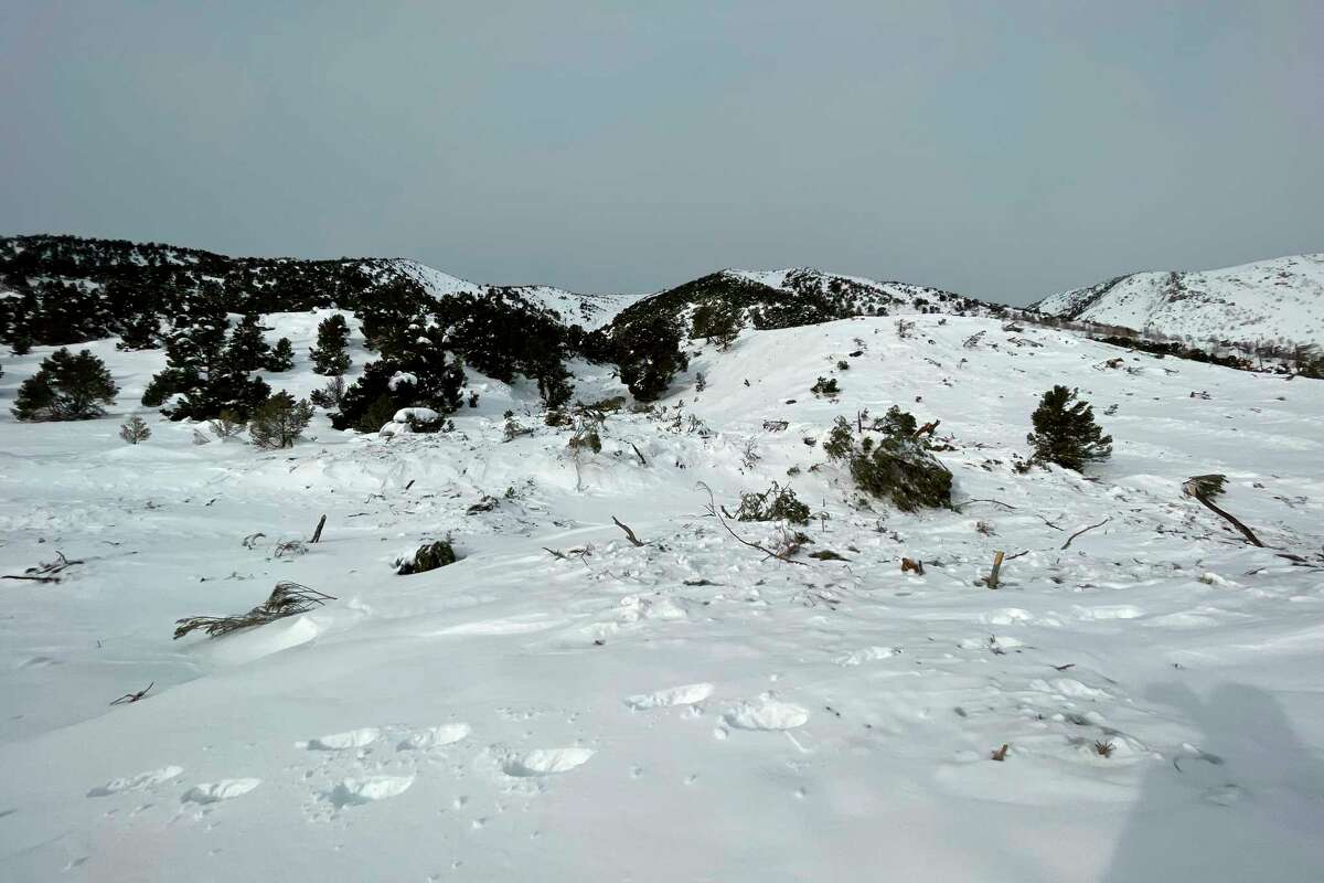 今年2月，李维宁(莫诺县)北部的雪崩从雪坡上下降了2000多英尺。