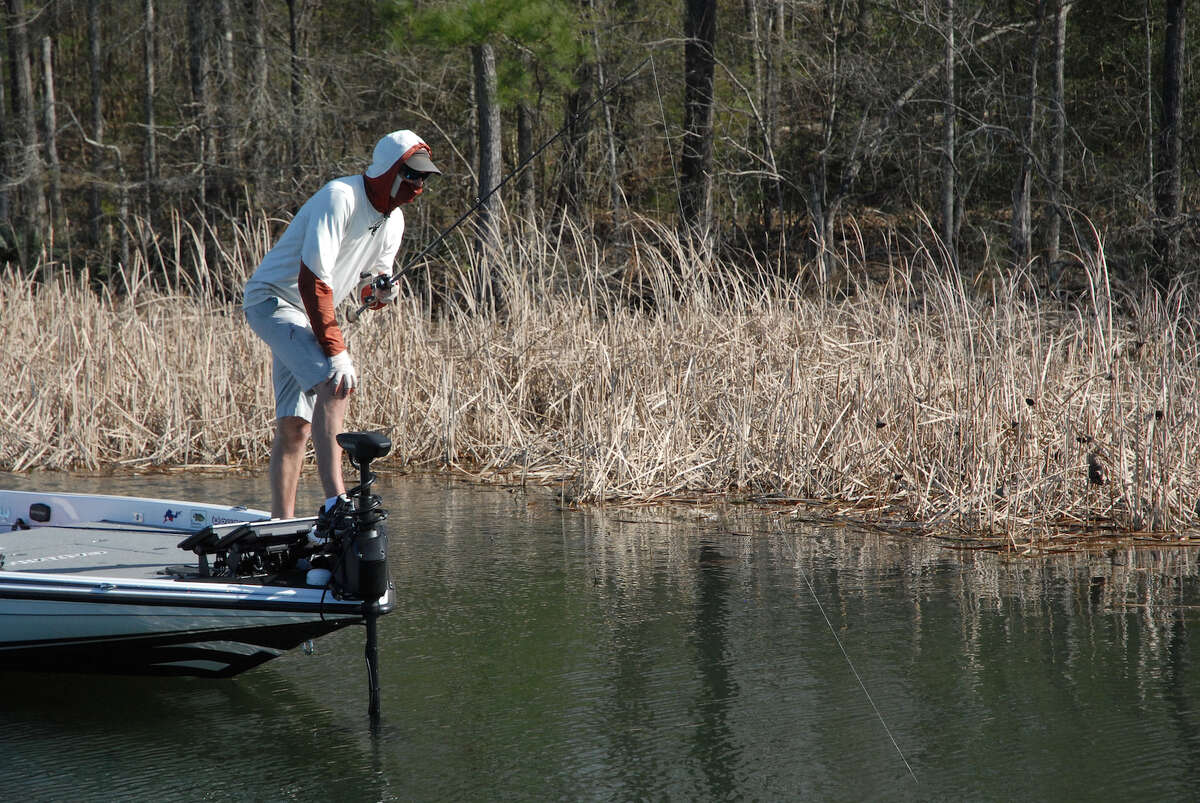 Looking at 'em Sight fishing for spawning bass
