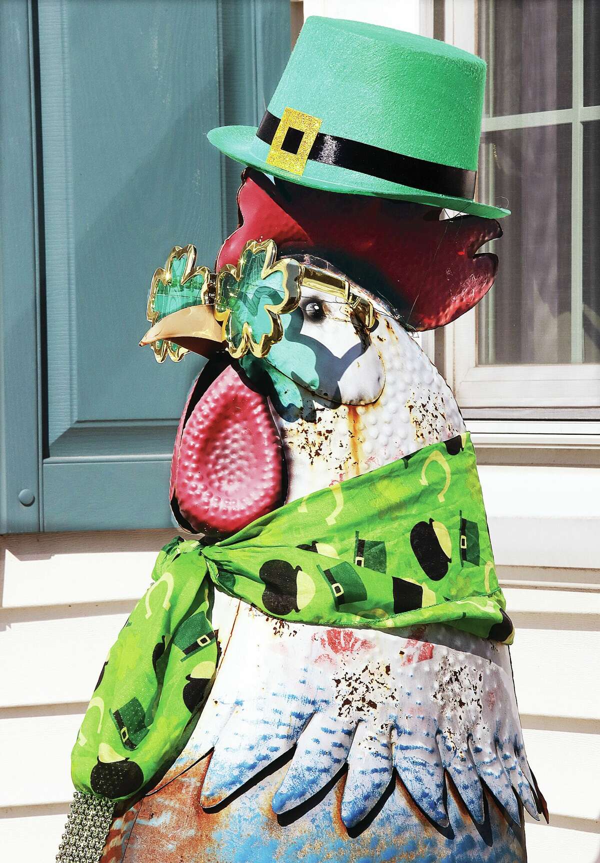 For some, St. Patricks Day is something to crow about. At least it looked that way for a 4-foot-tall, steel rooster in the front yard of a house in the 1800 block of State Street in Alton Friday. Wearing a green hat, four-leaf clover shaped green sunglasses and a green scarf, he looked ready to celebrate the life of St. Patrick and the arrival of Christianity in Ireland.