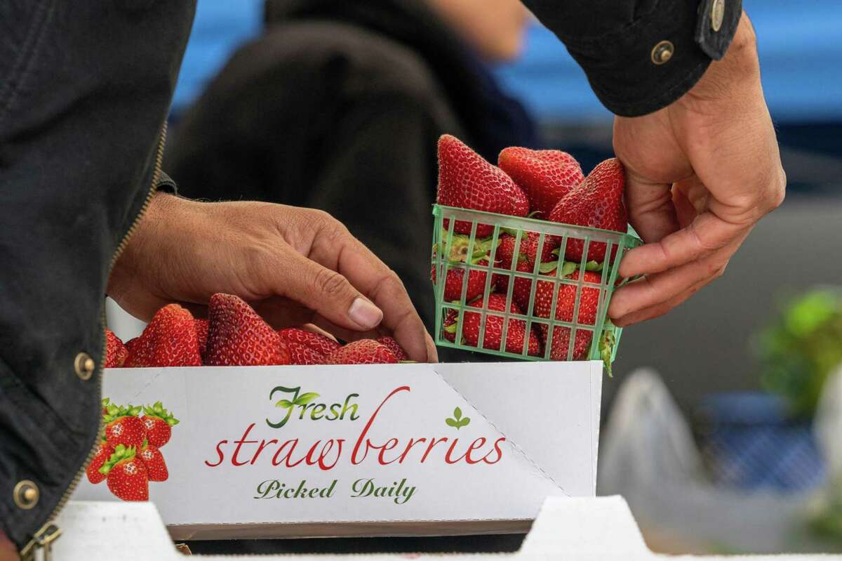 A shopper packs organic strawberries at a farmers market in San Francisco, California, U.S., on Thursday, June 2, 2022. The Biden administration announced $2.1 billion in new funding Wednesday to bolster food supply chains, including efforts to support smaller processors and help farmers shift to organic production.