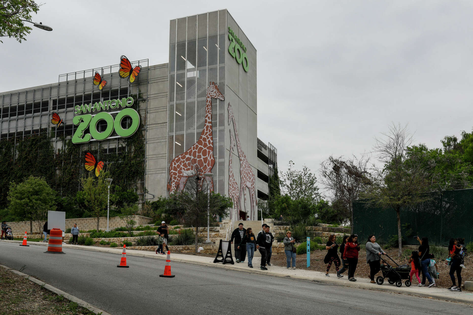 San Antonio Zoo offers 'Twilight Tickets' for summer weekends