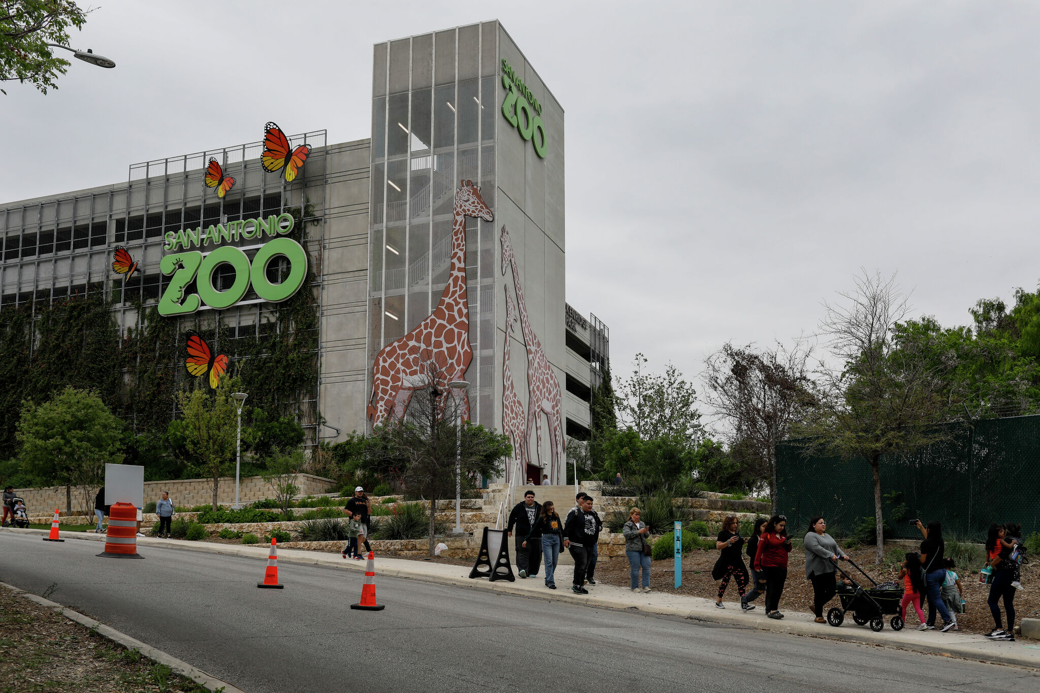 San Antonio Zoo offers 'Twilight Tickets' for summer weekends