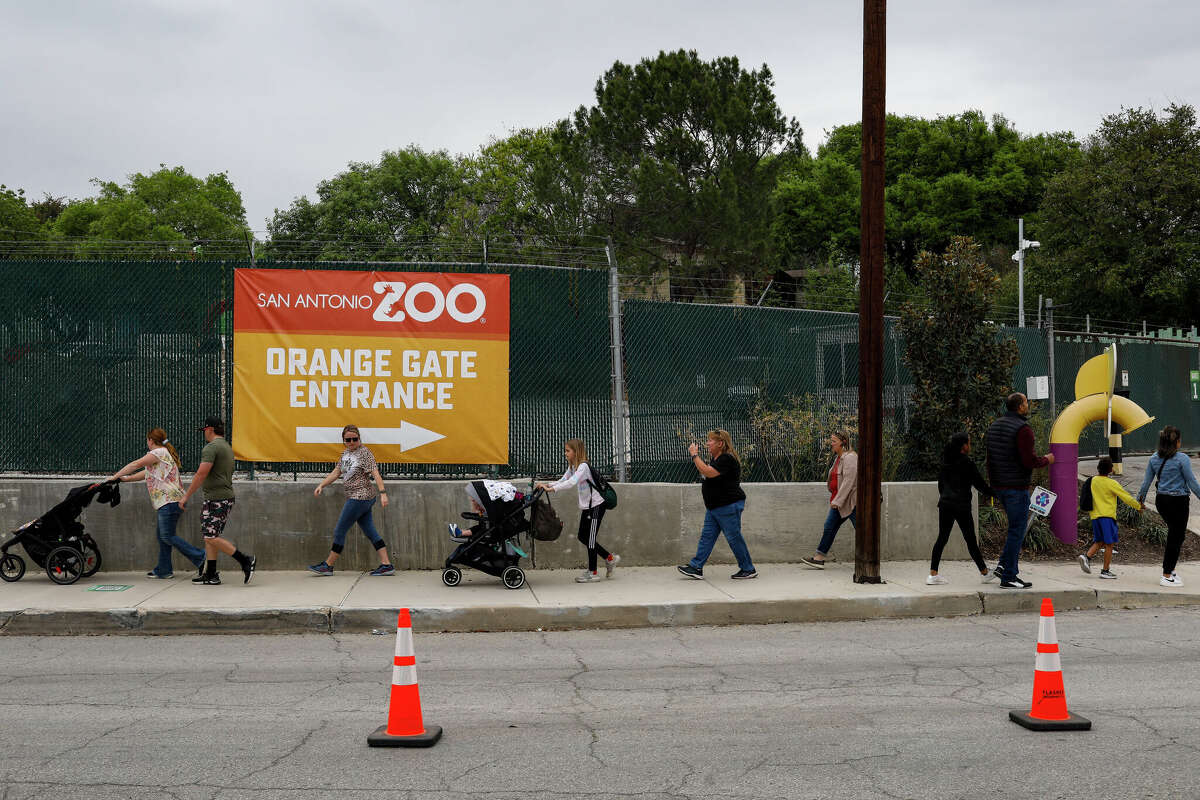 GoFundMe created for family injured by tree limb at San Antonio Zoo