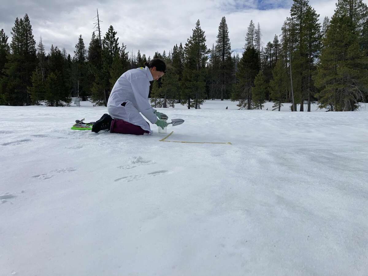 Monica Arienzo, associate research professor of hydrology at the Desert Research Institute, collects snow samples for research into microplastics in the Sierra Nevada. 