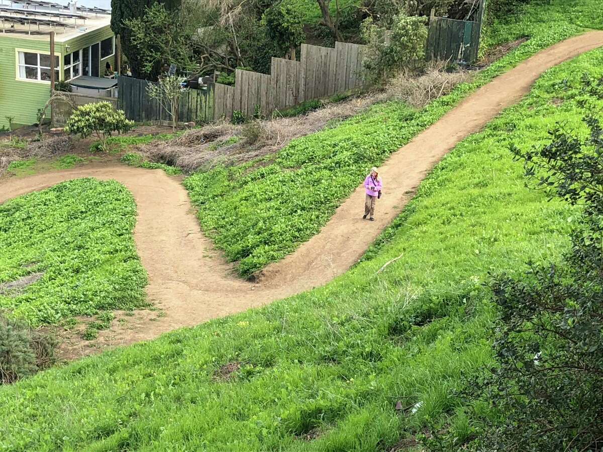 旧金山的比利山羊山(Billy Goat Hill)提供了一个逃离冬季沉闷的必要场所。