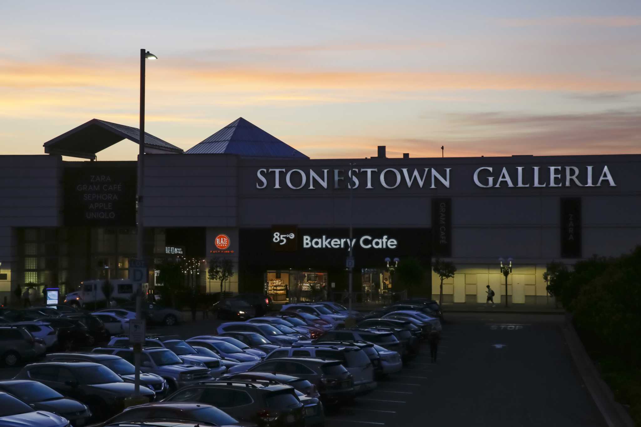 Brawl At Roosevelt Field Mall 