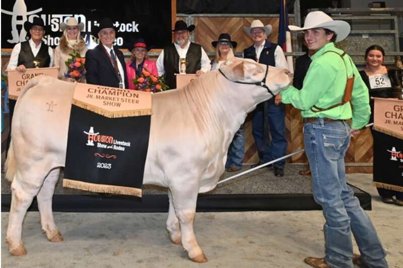 The Houston Rodeo's top steer was auctioned off to the self-proclaimed "largest landowner and developer in northwest Harris County." 
