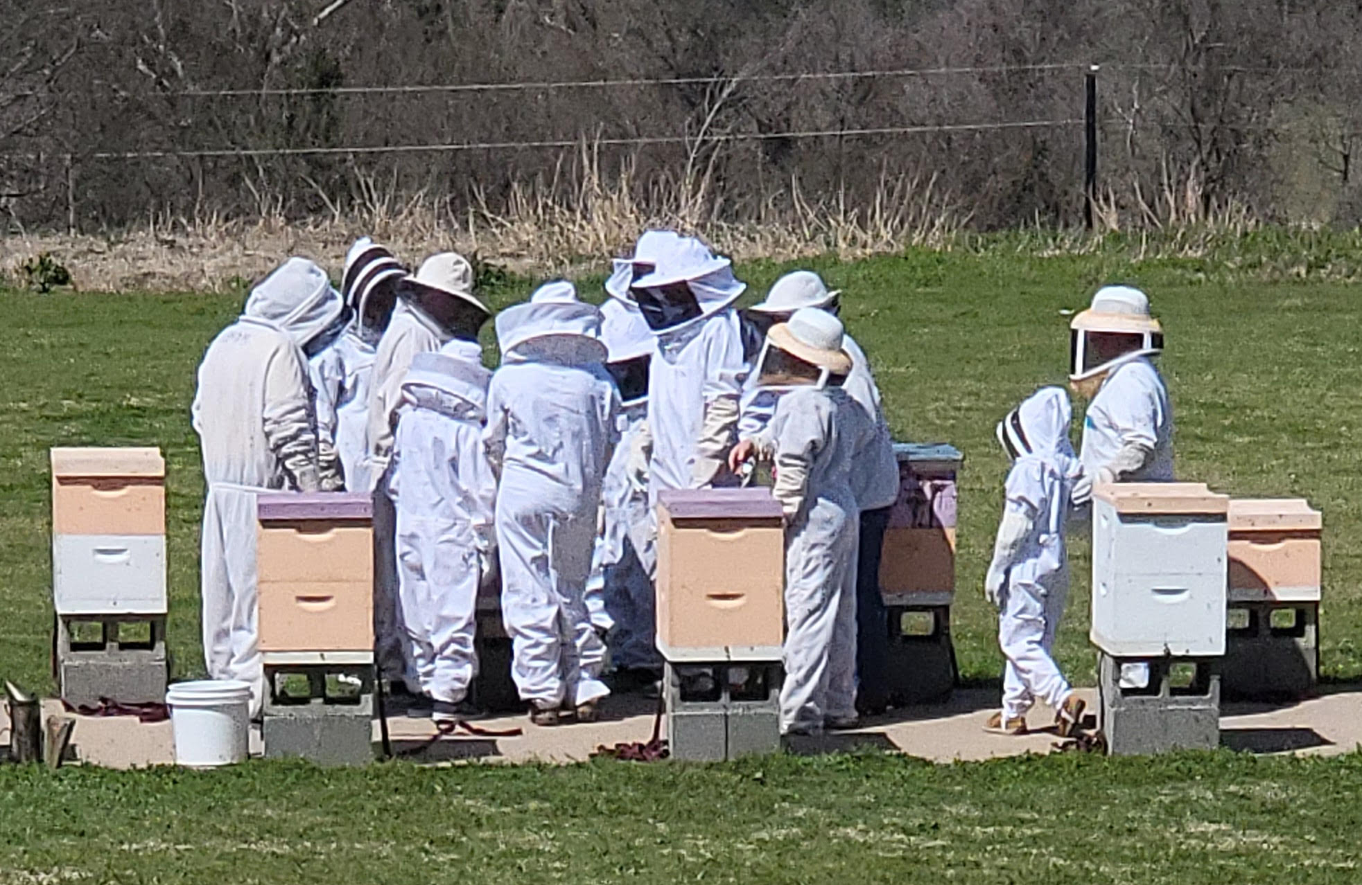 Beekeeping An Educational Family Experience