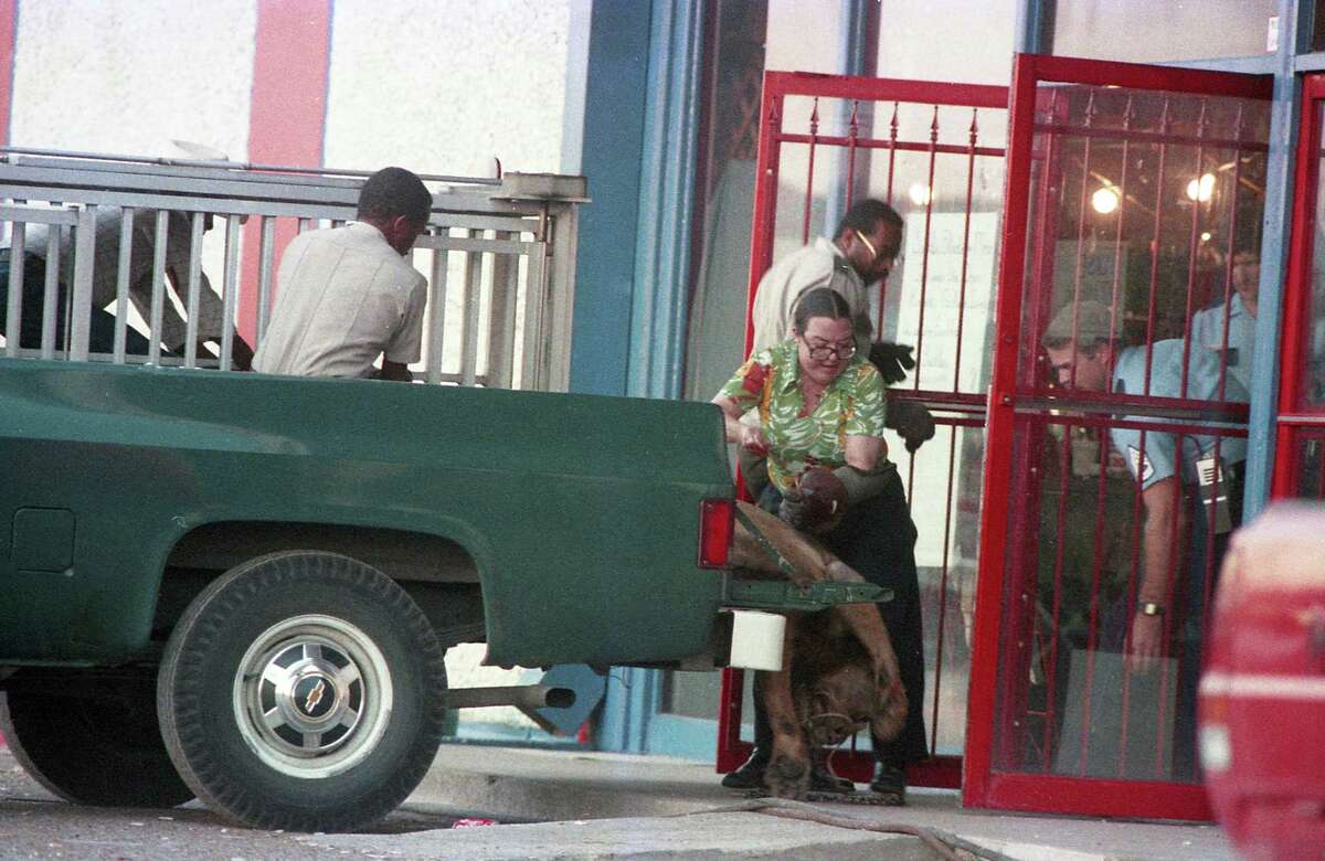 Mattress Mack Pulling $$$ in a Wheelbarrow🤑👀 #shorts 