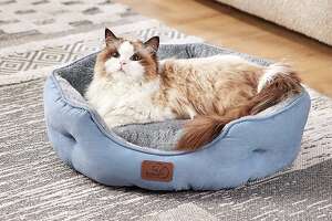 This top-rated pet bed is less than $20 on Amazon today