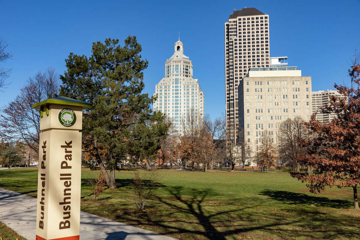 How birds and birdwatchers are thriving in Hartford green spaces