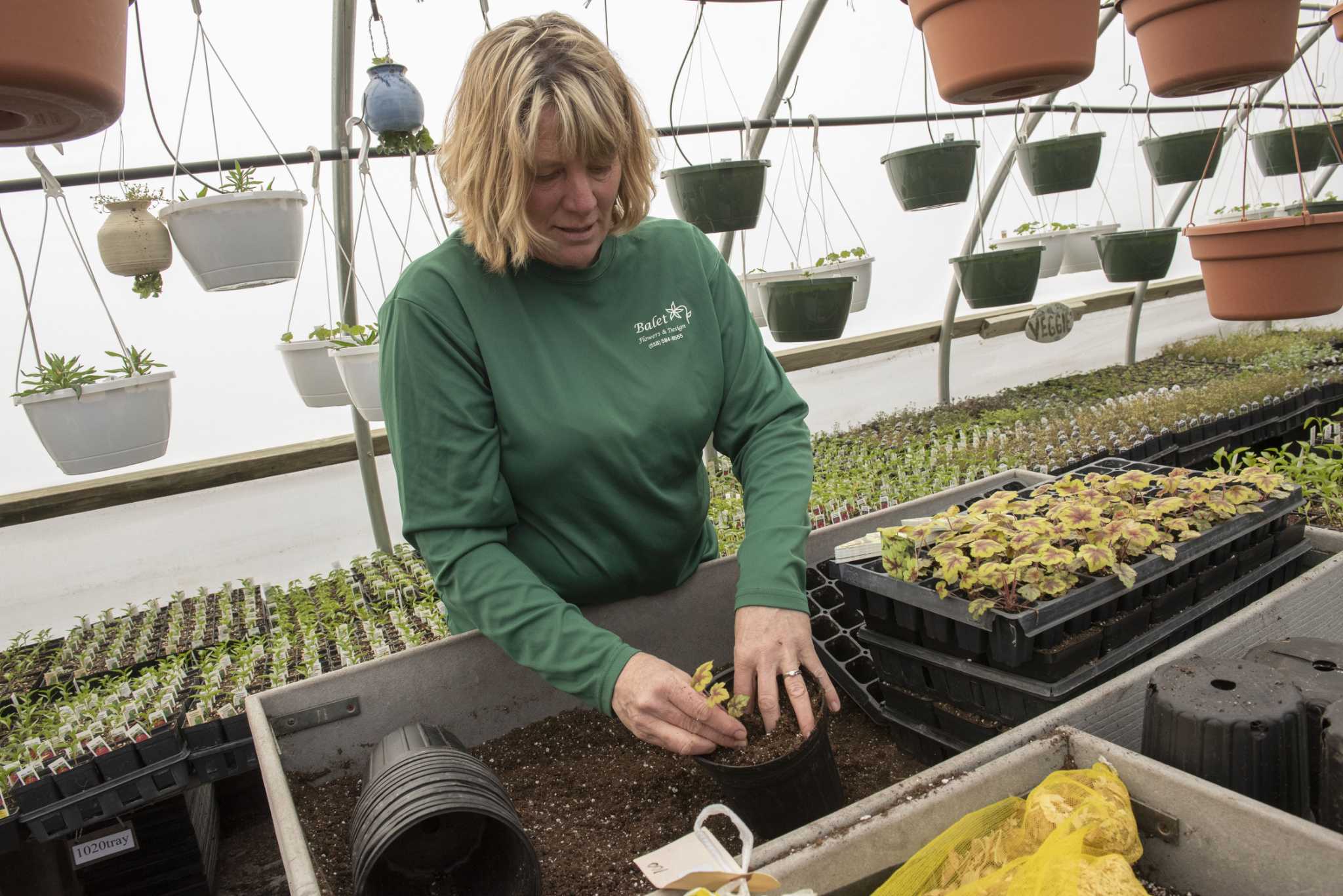 Balet garden nursery in Malta adds barn for classes, bridal services