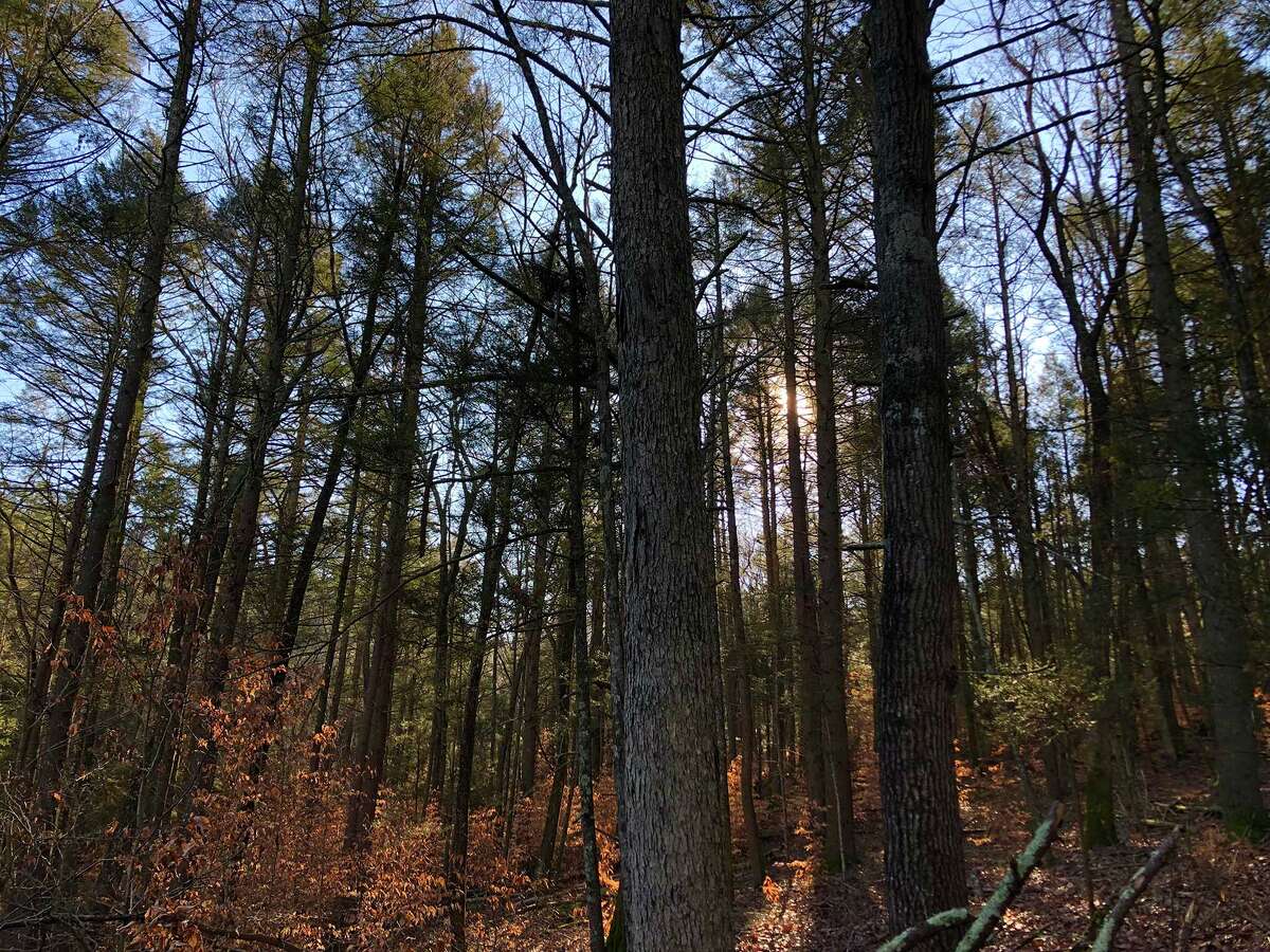 A historic covered bridge is just one of the rewards of this CT trail