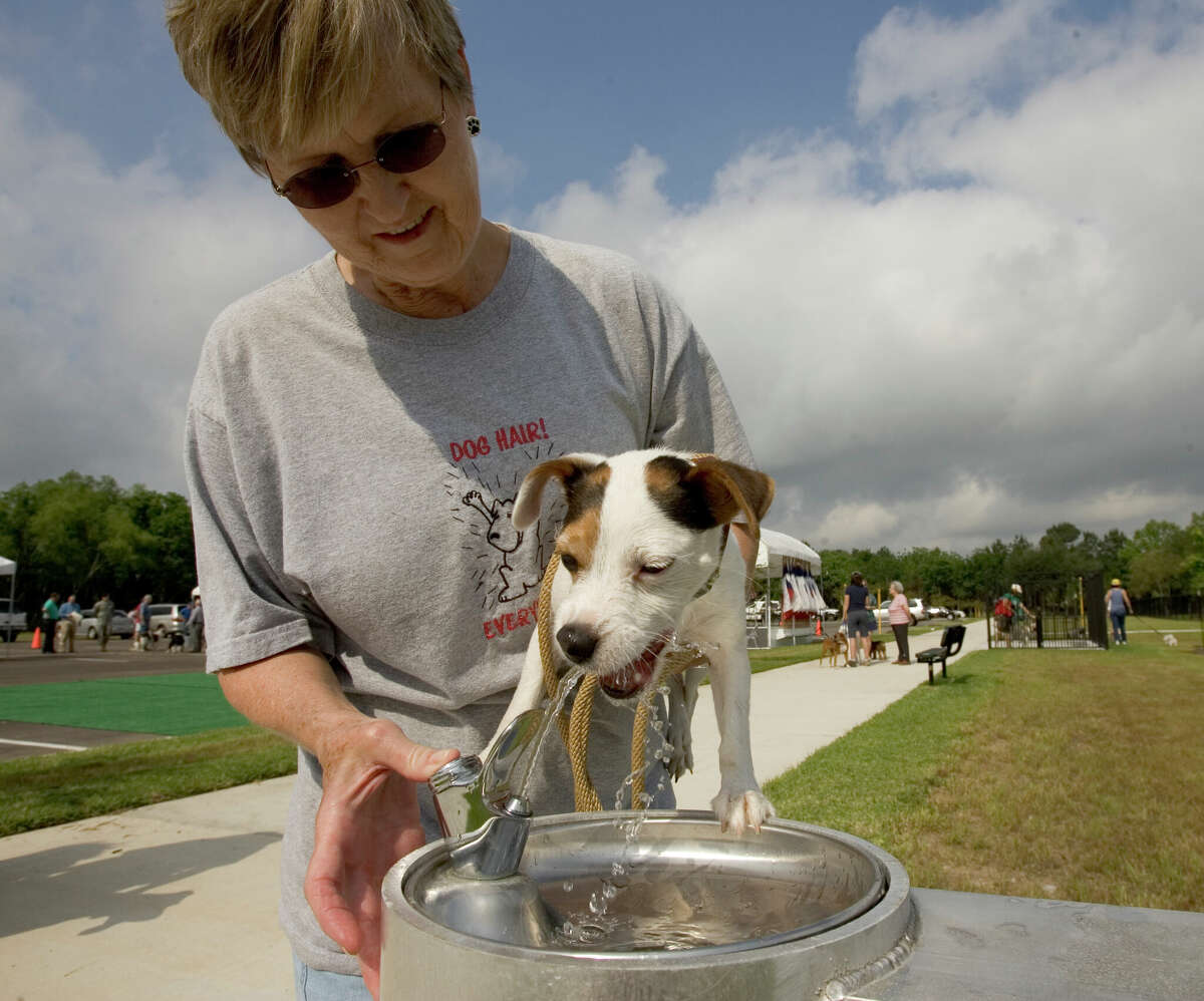 Kay Jackson, of Houston, lifts her Jack Russell Terrier up to get a drink from the water fountain during the dedication ceremony of the Dog Park at Congressman Bill Archer Park.