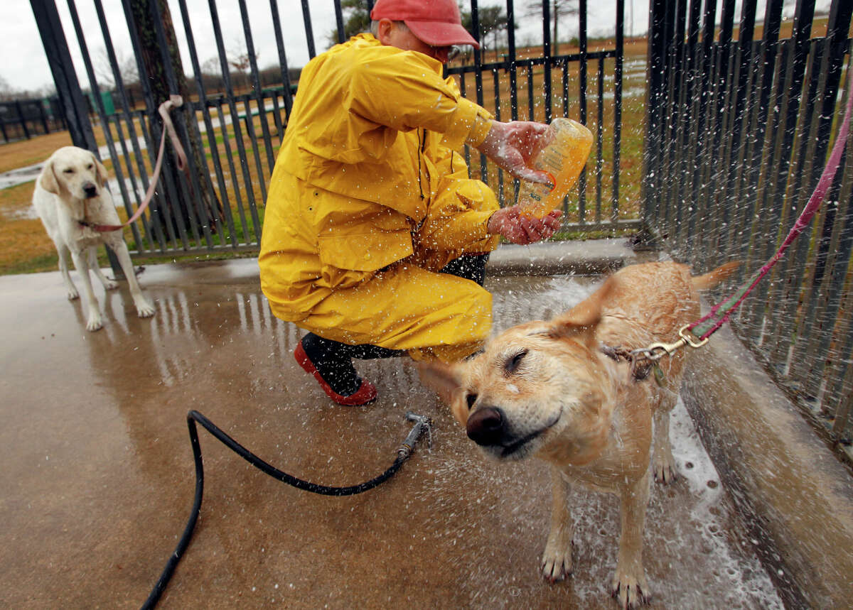 Matthias Imhof of Katy is dressed for both the rainy weather and dog washing as he gives a bath to his dogs, Libby, right, and Cindy, left, during outing for the dogs at Millie Bush Dog Park in George Bush Park, 16756 Westheimer Parkway, Sunday, Jan. 16, 2011, in Houston.