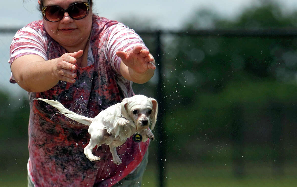 Marcia Flores of Katy throws her Maltese named Max into a pond at Millie Bush Dog Park in George Bush Park Sunday, June 10, 2012, in Houston.