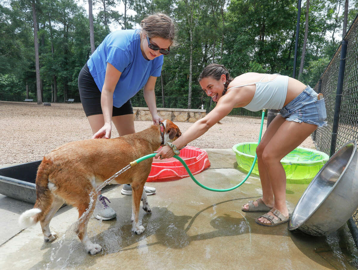 Caroline Batton, left, holds her dog, Cinnamon, as Veronica Atar helps wash her and cool her down after playing with other dogs in the 90-degree weather at Bear Branch dog park, Wednesday, May 11, 2022, in The Woodlands.