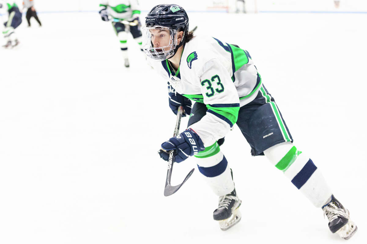 Endicott is in the DIII Hockey Frozen Four with two key CT natives