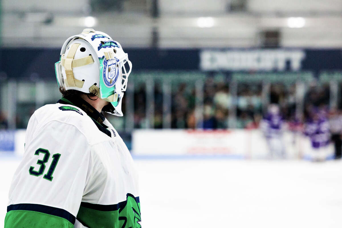 Endicott is in the DIII Hockey Frozen Four with two key CT natives