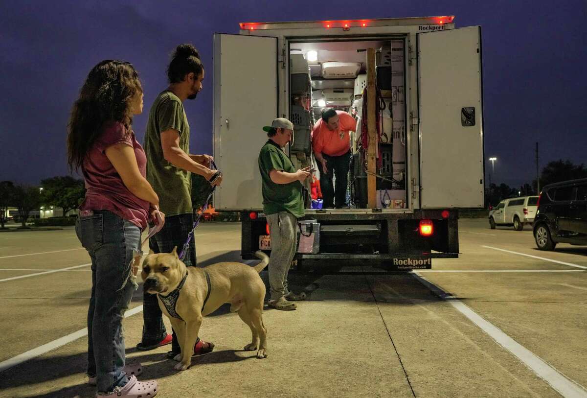 Harris County Shelter Volunteers Demand Changes Over Cruelty Concerns