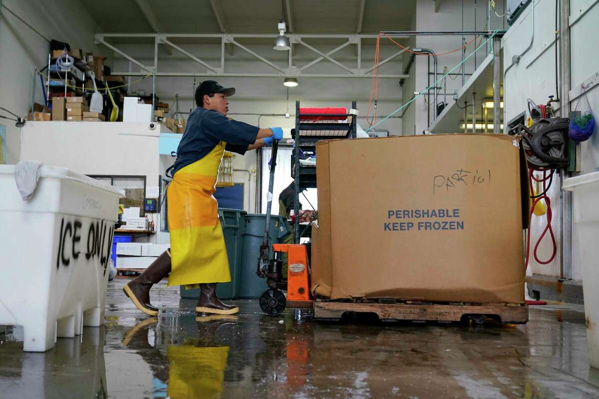 A worker moves fish into a freezer at Costarella Seafoods on Pier 45 in San Francisco, Monday, March 20, 2023. On April 7, the Pacific Fishery Management Council, the regulatory group that advises federal officials, will take action on what to do about the 2023 season for both commercial and recreational salmon fishing.