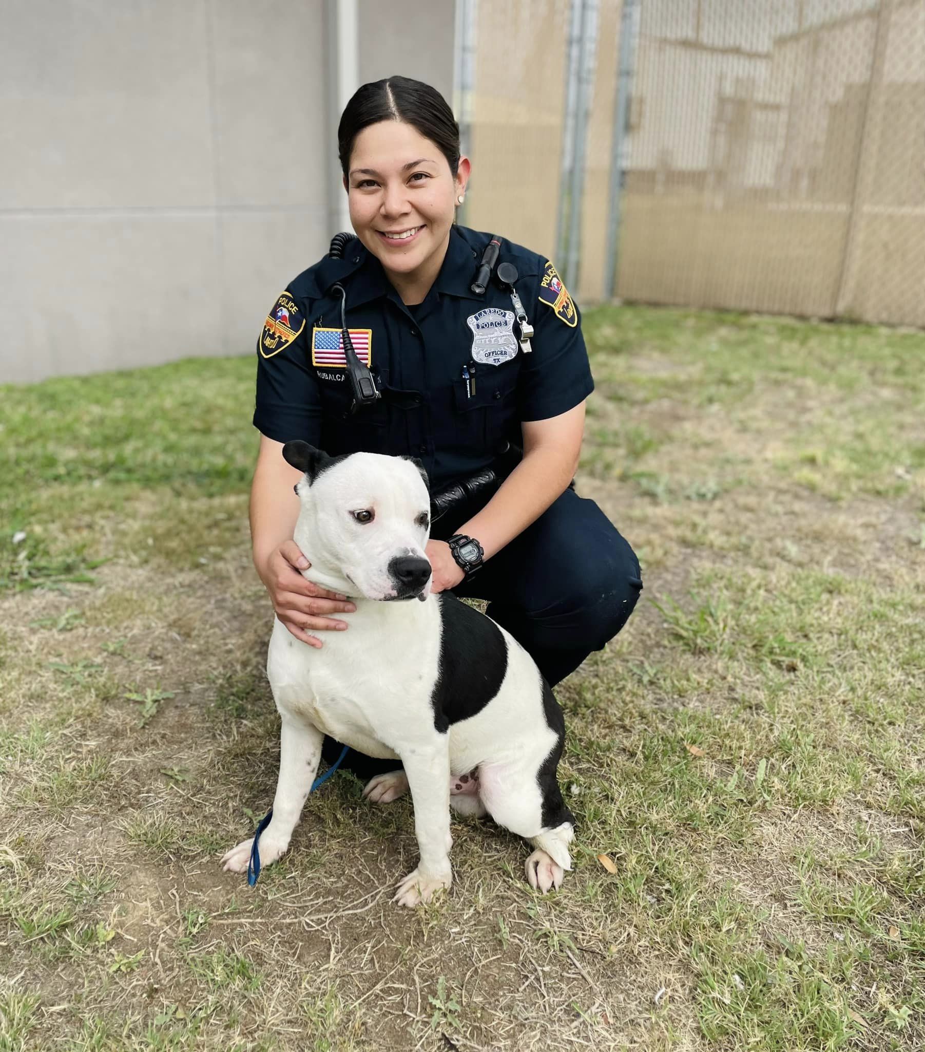 Laredo police present Pets of the Week up for adoption via LACS