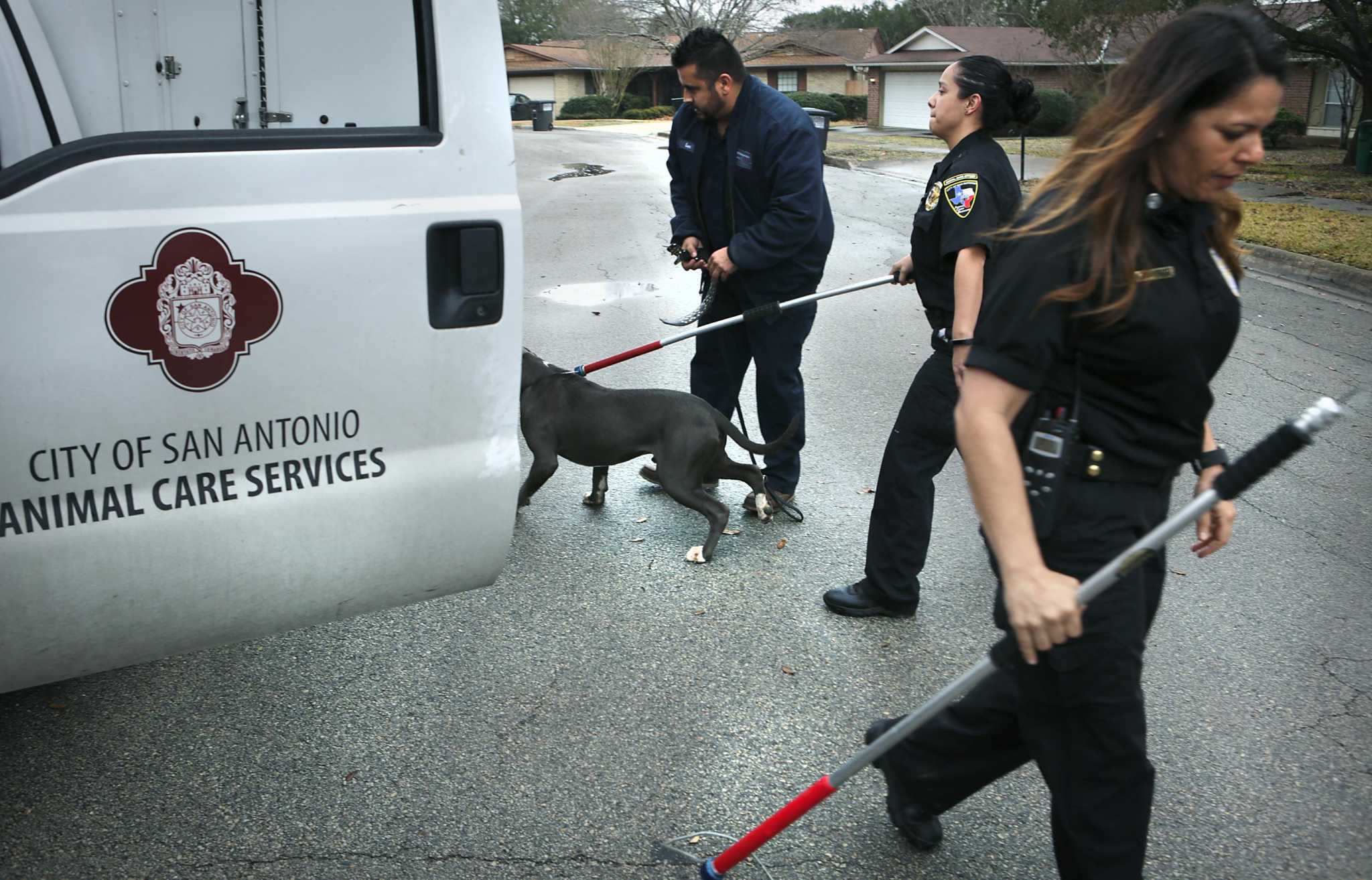 Letters, March 25: Early detection needed for dangerous dogs - Vimarsana News